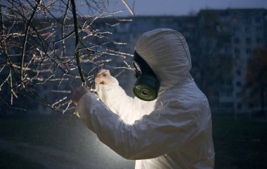 Üniformalı ve gaz maskeli bir araştırmacının yan görüntüsü. Sabahın erken saatlerinde bir fenerin yardımıyla ağaç dalından örnek alıyor.
