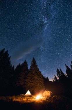 Parlak gece gökyüzü yıldızlarla doludur ve üzerinde Samanyolu görünür. Dev köknar ağaçlarının siluetleri doğaya sihir katıyor. İki turist çadırının yanında yanan şenlik ateşiyle çam ormanında kamp yapmak.