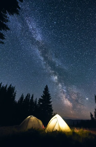 Ormanda Bir Turist Kampı Sıcak Bir Yaz Gecesi Yıldızlar Parlak — Stok fotoğraf