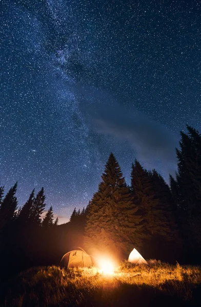 Brilhante Céu Noturno Está Repleto Estrelas Láctea Silhuetas Abetos Enormes — Fotografia de Stock