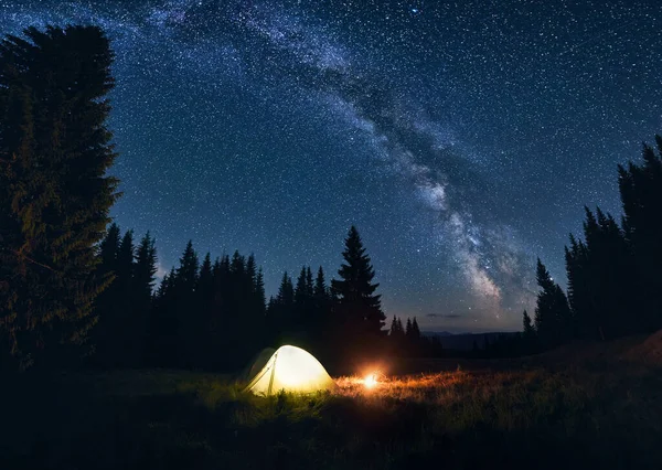 Panoramic view of night camping in valley with large pine trees. Burning campfire and illuminated tourist tent under bright starry sky with Milky Way in the evening. Tourism in the mountains