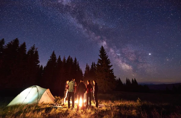 Arkaya Bakan Beş Turist Grubu Yıldızlı Gökyüzünün Altındaki Çam Ormanlarına — Stok fotoğraf
