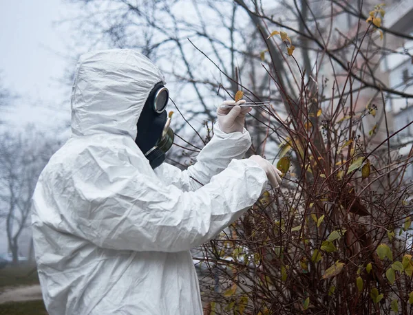 Ecologo Tuta Radiazione Afferrando Brunch Albero Con Pinzette Ambientalista Maschile — Foto Stock