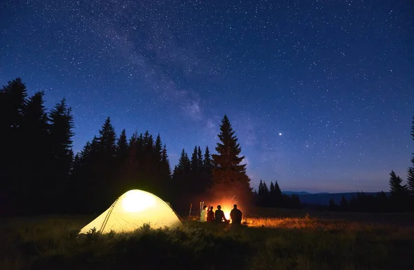 Night Camping Near Fire Forest And Mountains On Background Group Of Friends Warming Up Near Bright