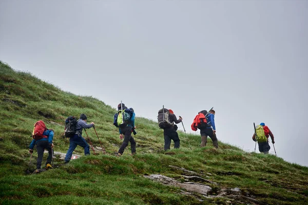 Male travelers with backpacks walking on grassy hill. Group of active people with trekking sticks climbing mountain. Concept of hiking, travelling and backpacking.