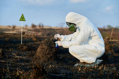 Yanmış çimen ve toprak örnekleri alan, test tüpü ve cımbız tutan koruyucu kıyafetli erkek ekolojistin yan görünüşü, biyolojik tehlike işaretinin yanındaki laboratuvar testleri için malzeme toplarken,