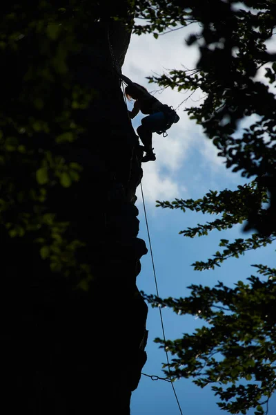 Vertical snapshot of a silhouette female figure climbing up the dark rock against blue sky, green leaves below. Low angle view. Concept of mountain sport