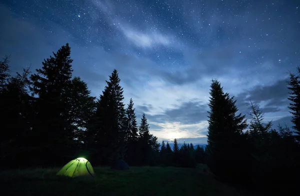 Hermosa Vista Del Cielo Estrellado Nocturno Sobre Prado Impresionante Paisaje — Foto de Stock