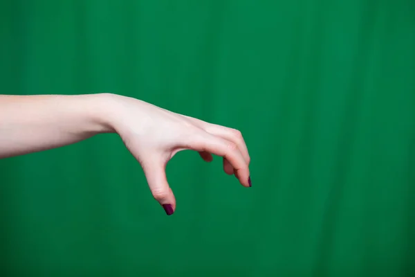 Hand Women 's fingers — стоковое фото