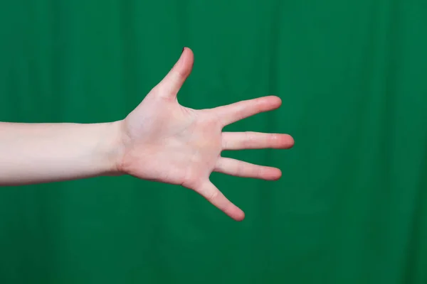Женская рука показывает пять пальцев — стоковое фото