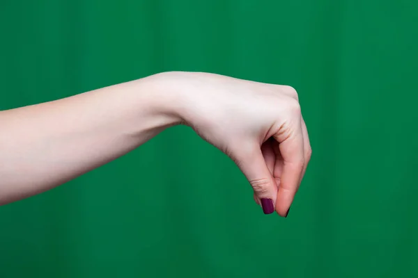Рука Женские пальцы держит — стоковое фото