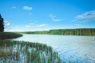Güzel yaz manzara. Yeşil orman ve beyaz bulutlar mavi bir gökyüzü göl. Yaz aylarında doğa