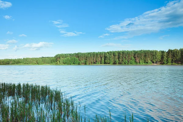 Güzel yaz manzara. Yeşil orman ve beyaz bulutlar mavi bir gökyüzü göl. Yaz aylarında doğa