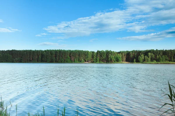 Güzel yaz manzara. Yeşil orman ve beyaz bulutlar mavi bir gökyüzü göl. Yaz aylarında doğa