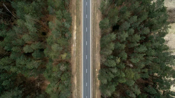 Camino de asfalto y bosque otoñal desde la vista de un pájaro. Fotografía aérea de la naturaleza —  Fotos de Stock