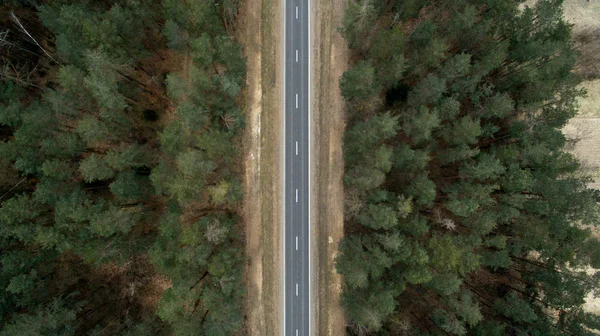 Route d'asphalte et forêt d'automne d'une vue d'oiseau. Photographie aérienne de la nature — Photo