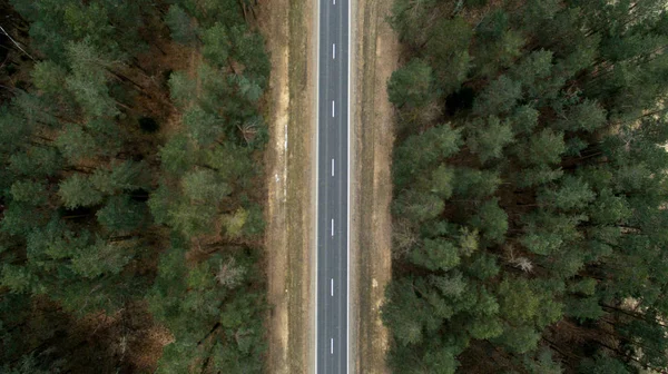 Estrada de asfalto e floresta de outono a partir da vista de um olho de pássaro. Fotografia aérea da natureza — Fotografia de Stock