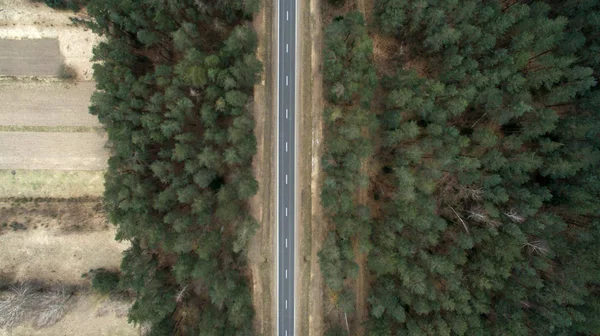 Route d'asphalte et forêt d'automne d'une vue d'oiseau. Photographie aérienne de la nature — Photo