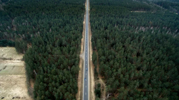 Estrada de asfalto e floresta de outono a partir da vista de um olho de pássaro. Fotografia aérea da natureza — Fotografia de Stock