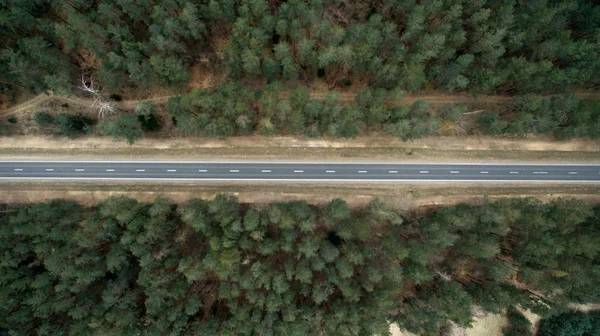 アスファルトの道路と鳥の目のビューから秋の森。自然の空中写真 — ストック写真