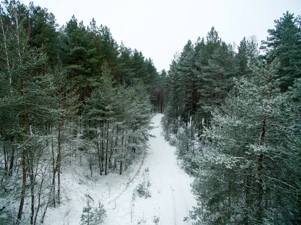 Floresta Inverno Estrada Vista Cima Foto Foi Tirada Com Drone — Fotografia de Stock