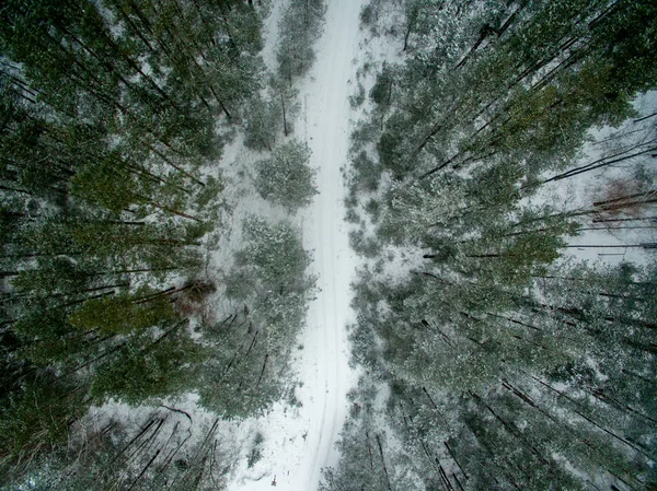 Zima Las Drogi Widok Góry Zdjęcie Zostało Zrobione Drone Sosna — Zdjęcie stockowe