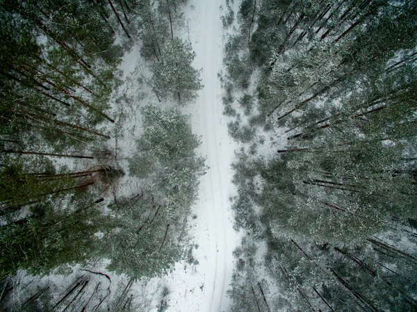 Winter Forest Weg Bekijk Van Bovenaf Foto Werd Genomen Met — Stockfoto