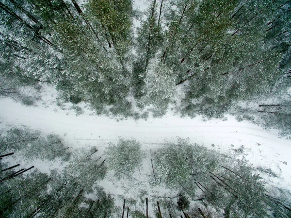 Pădure Iarnă Drum Vedere Sus Fotografia Fost Făcută Dronă Pădure — Fotografie, imagine de stoc