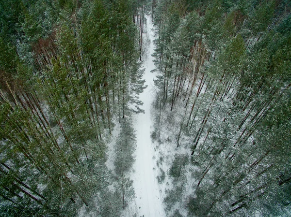Floresta Inverno Estrada Vista Cima Foto Foi Tirada Com Drone — Fotografia de Stock
