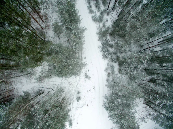 Pădure Iarnă Drum Vedere Sus Fotografia Fost Făcută Dronă Pădure — Fotografie, imagine de stoc