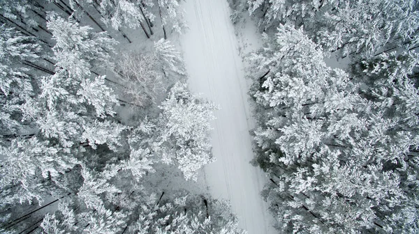 Bosque de invierno y la carretera. Vista desde arriba. La foto fue tomada con un dron. Bosque de pino y abeto en la nieve — Foto de Stock