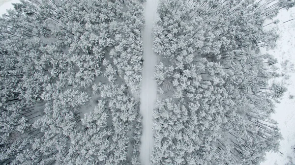 Bosque de invierno y la carretera. Vista desde arriba. La foto fue tomada con un dron. Bosque de pino y abeto en la nieve — Foto de Stock