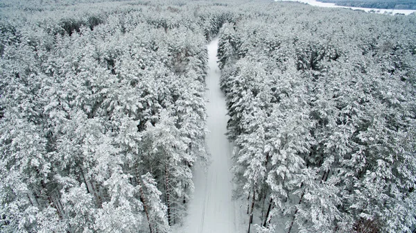 Winterwald und Straße. Blick von oben. Das Foto wurde mit einer Drohne aufgenommen. Kiefern- und Tannenwald im Schnee — kostenloses Stockfoto