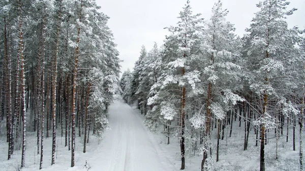 Bosque de invierno y la carretera. Vista desde arriba. La foto fue tomada con un dron. Bosque de pino y abeto en la nieve — Foto de Stock