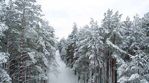 Bosque de invierno y la carretera. Vista desde arriba. La foto fue tomada con un dron. Bosque de pino y abeto en la nieve — Foto de Stock