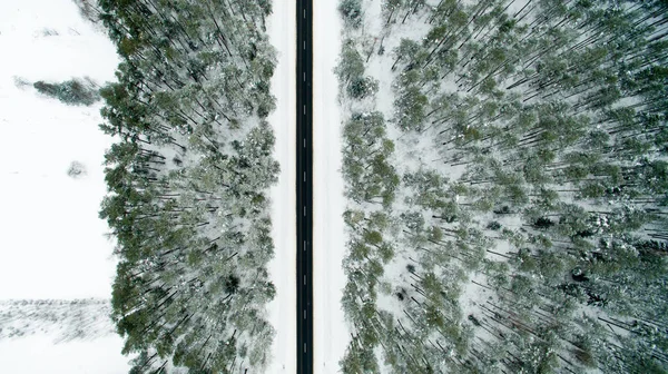 Χειμώνας δάσος και άσφαλτο δρόμο. Θέα από ψηλά. Η φωτογραφία τραβήχτηκε με ένα... drone. Δάσος πεύκης και ελάτης στο χιόνι — Φωτογραφία Αρχείου