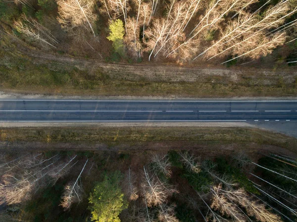 Asphalt road passing through a green forest in the fall. Landscape aerial view. Top view — ストック写真