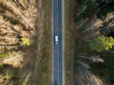 Sonbaharda yeşil bir ormandan geçen arabalı asfalt yol. Manzaralı hava manzarası. Üst görünüm