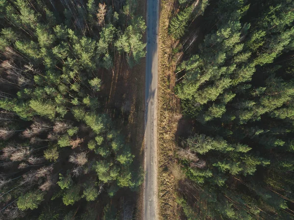 Drumul de asfalt trece printr-o pădure verde în toamnă. Vedere aeriană peisagistică. Privire de sus — Fotografie de stoc gratuită