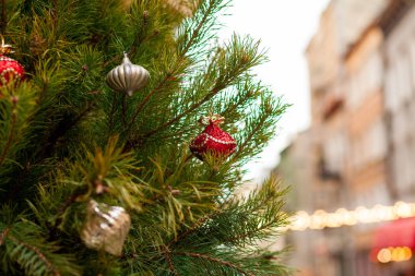 Toplarla süslenmiş güzel yeşil dallar. Yeni yıl arkaplanı