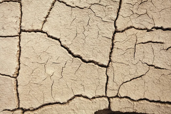 Cracks Nella Terra Nelle Zone Rurali Struttura Del Terreno Sfondo — Foto Stock