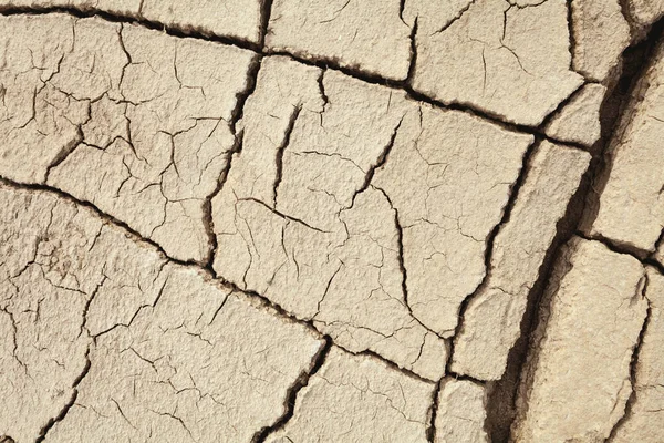 Cracks Nella Terra Nelle Zone Rurali Struttura Del Terreno Sfondo — Foto Stock