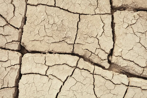 Cracks Nella Terra Nelle Zone Rurali Struttura Del Terreno Sfondo — Foto Stock