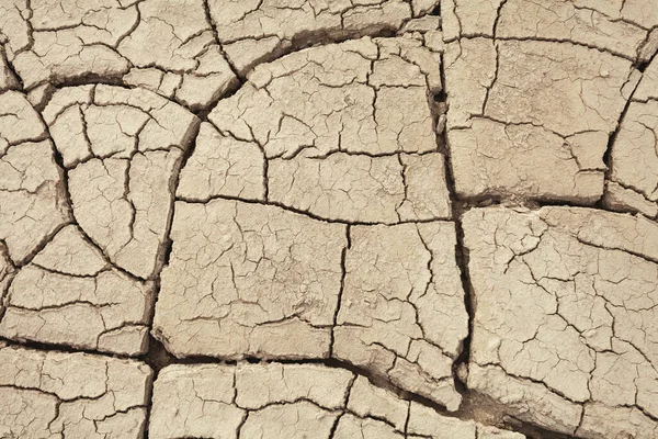 Cracks Nella Terra Nelle Zone Rurali Struttura Del Terreno Sfondo — Foto Stock