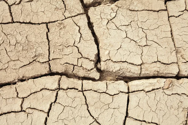 Cracks Nella Terra Nelle Zone Rurali Struttura Del Terreno Sfondo — Foto Stock