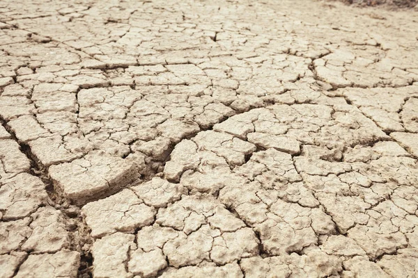 Des Fissures Dans Terre Dans Les Zones Rurales Fond Texture — Photo