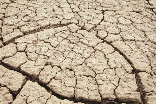 Cracks Earth Rural Areas Ground Texture Background Dry Soil Abstract — Stock Photo, Image