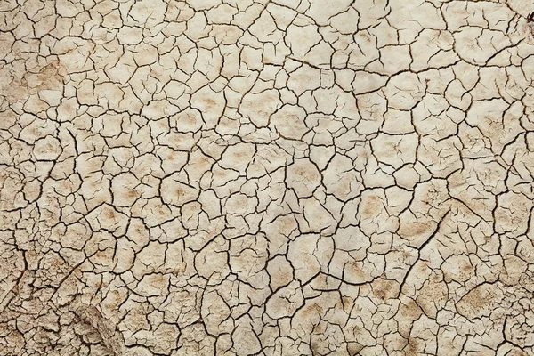 Тріщини Землі Сільській Місцевості Тло Текстури Ґрунту Сухий Грунт Абстрактне — стокове фото