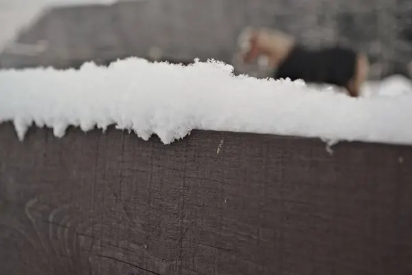 木栅栏上的雪帽 — 图库照片