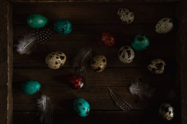 Red and teal colored quail eggs and feathers on wooden rustic background. Dark and moody Easter card